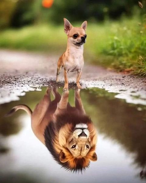 (photo credit unknown)